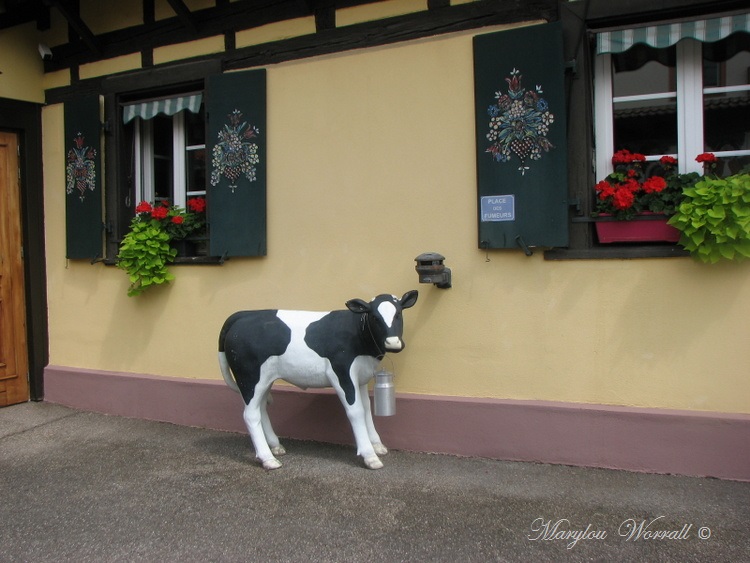 Souffelweyersheim (67): Restaurant La Carpe