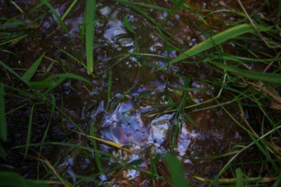 Comment la fracturation hydraulique pollue l’eau des villes et des campagnes américaines