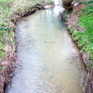 Le ruisseau, le Montgoger