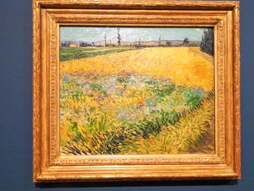 Musée Van Gogh à Amsterdam (Pays-Bas)