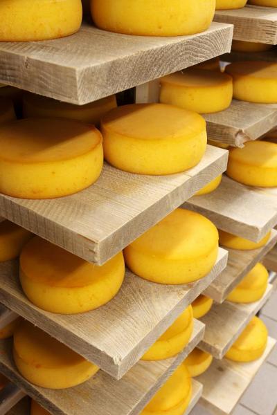 FROMAGES DE NOS REGIONS LE MONT-DE-CATS
