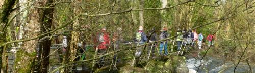 la passerelle de la Roche Pépin