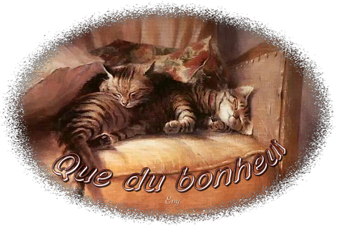 Mots de chats