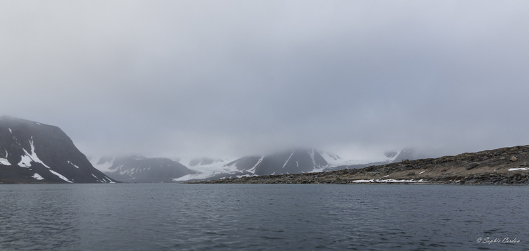 Chermsideøya