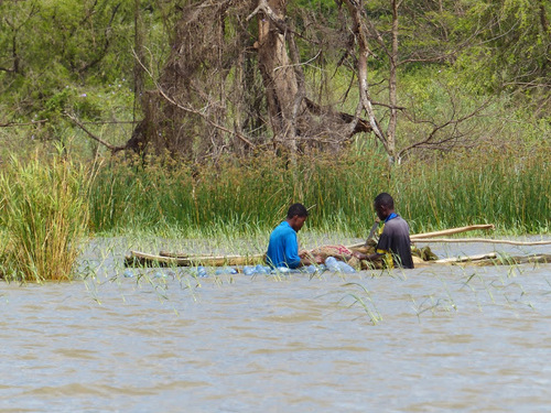 les pêcheurs du lac Shamo