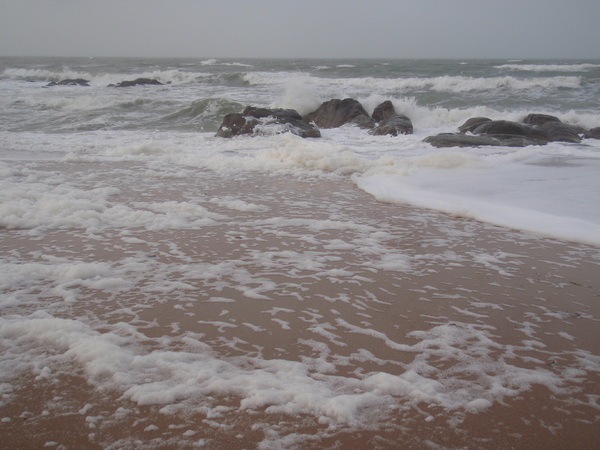 ECUME DE MER SUR LA PLAGE