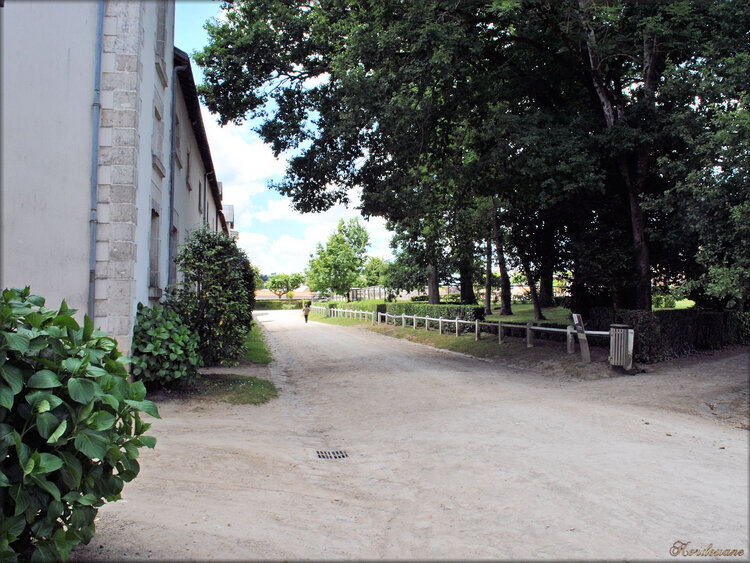 Photos des bâtiments - Haras de Vendée (La Roche sur Yon)