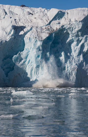 Lilliehöökbreen, suite et fin