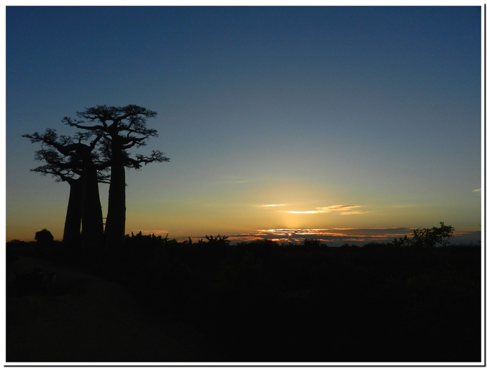Couché de soleil sur les Baobabs