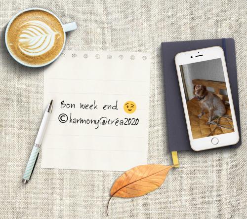 Bon week end à tous.