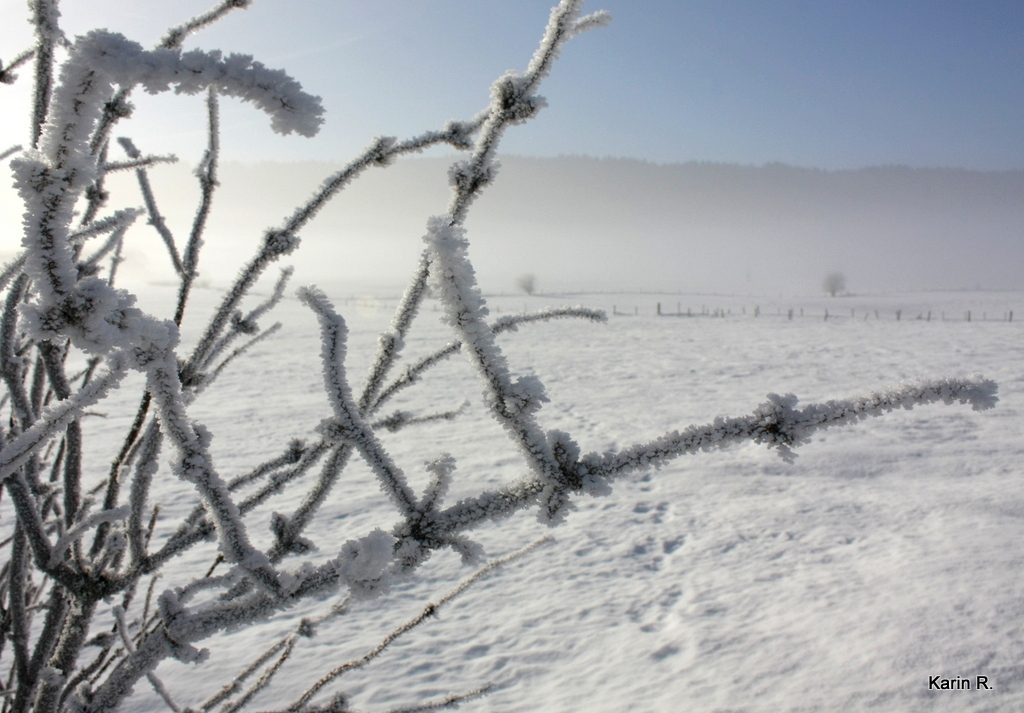 Le froid s'en vient