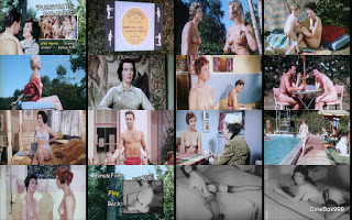 The Nudist Story / For Members Only / Pussycats Paradise. 1960. DVD.