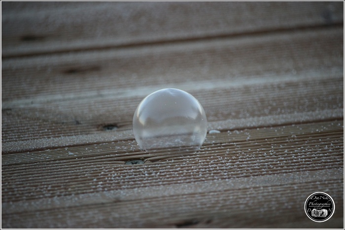 Les bulles de savon en givre