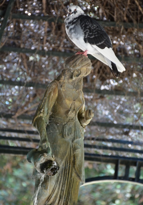 Le jardin national à Athènes