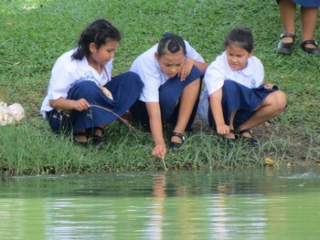 08 Août 2013 - Bangkok - Le parc Lumphini