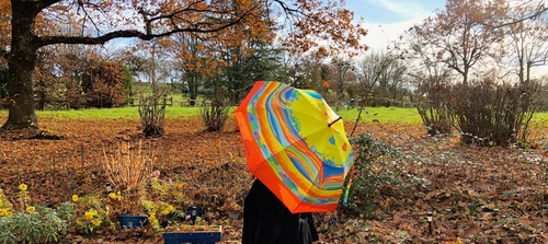 Parapluies à Charlieu