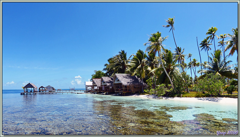 Motu Tetamanu - Atoll de Fakarava - Polynésie française