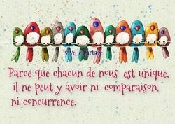 Nous, G, B et les Gnomes 