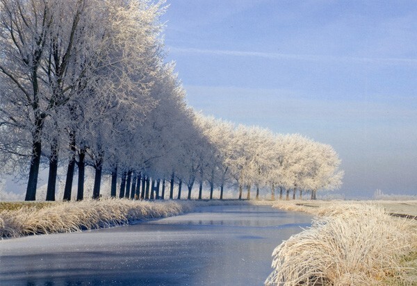 479 - Pays-Bas en hiver