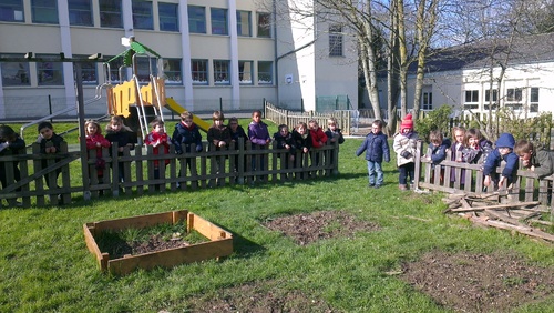 Visite au potager