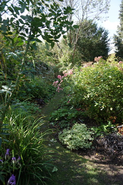 Retour dans le jardin d'André Eve