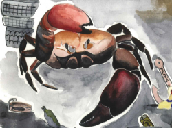 Lizie et la carapace multicolore suite