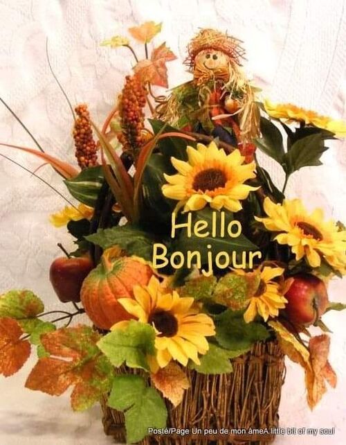 bonne semaine les amies et amis ...