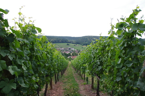 Images d'Alsace, l'Abbaye de Murbach