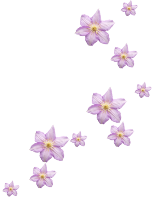 Farandole Fleurs
