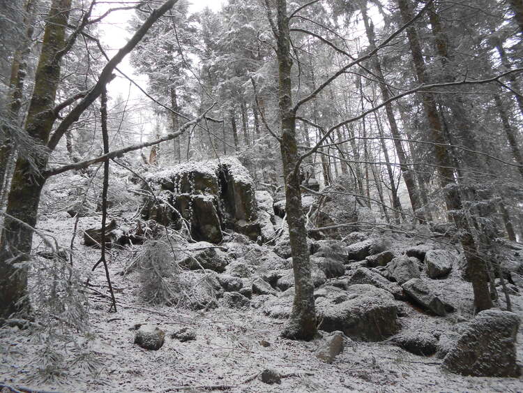 Vosges- the last snow