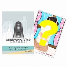 Goodies pour la tournée "Concert Tour 2013 Haru ~ Berryz Koubou Berryz Mansion!  " -Part 3