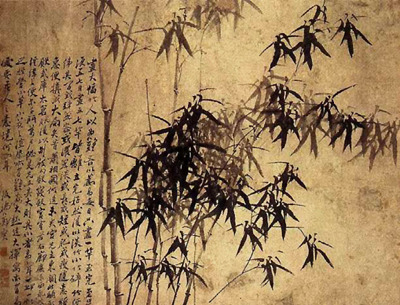Culture du bambou en Chine