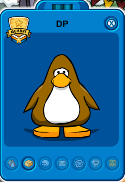 Rassemblement des informations de l'opération puffle