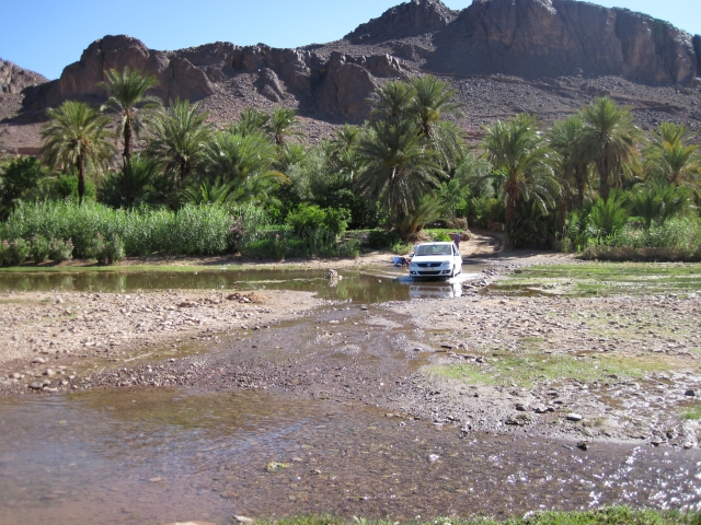 030 Oasis de Flint  7