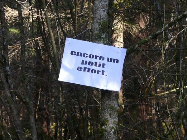 Une "chasse au Trésor enchantée" organisée par le GIP du futur Parc entre Champagne et Bourgogne a eu lieu en forêt châtillonnaise...