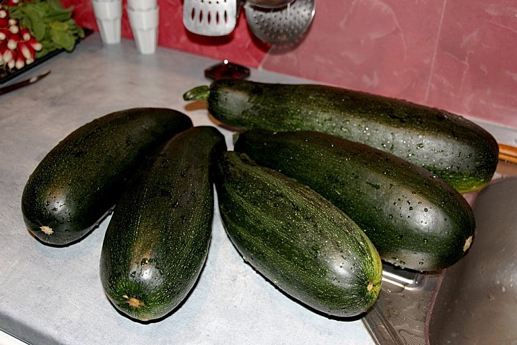 courgettes-011.JPG