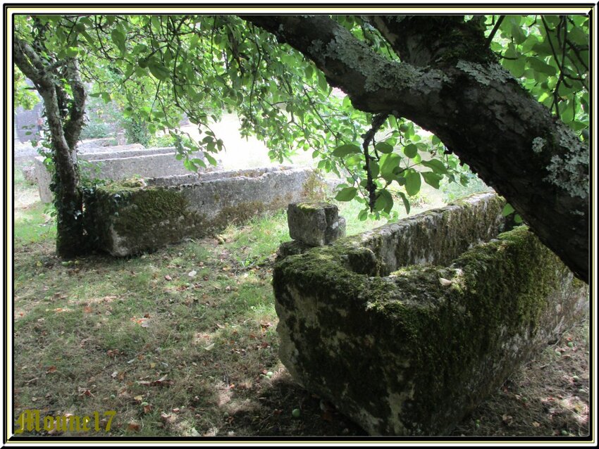 L'Abbaye de Fontdouce à St Bris des Bois (17)