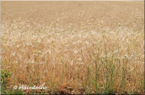 PRIERE INDIENNE
