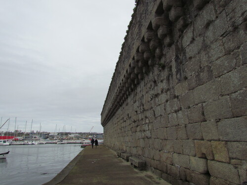 Balade en Bretagne nord (29).