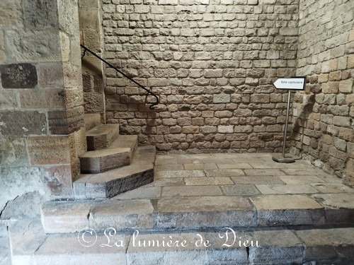 Fréjus, le cloître de la cathédrale saint Léonce