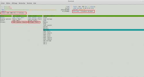 Utilisation du moniteur système HTOP