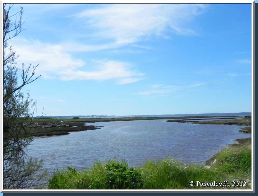 Gujan Mestras - Le port de la Mole - 2/6