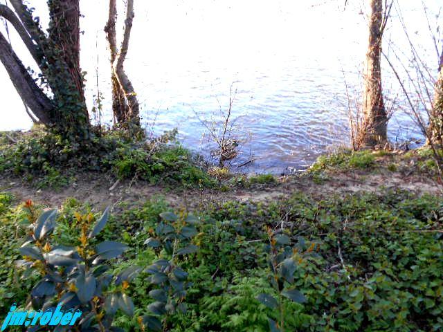 Balade printanière sur les bords de Vienne (2)
