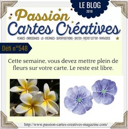 Passion Cartes Créatives#549 !