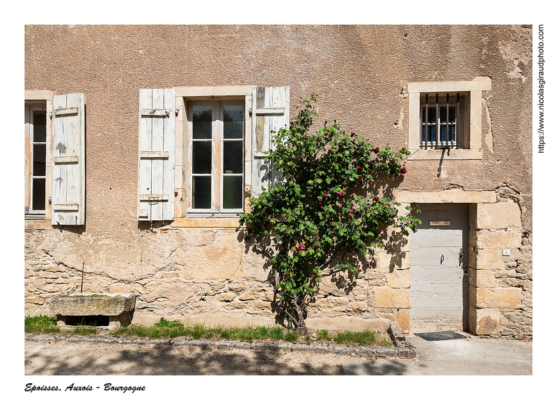 De Montréal à Epoisses, villages médiévaux de Bourgogne