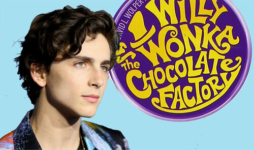 Timothée Chalamet va jouer Willy Wonka