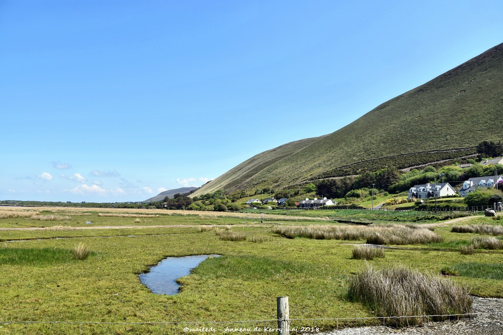 Anneau de Kerry - Irlande (2)