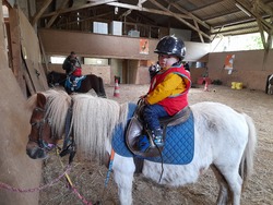 maternelle : activité Poney - séance 1