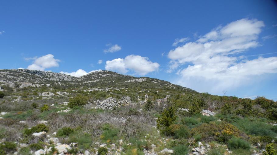 Peut être une image de montagne