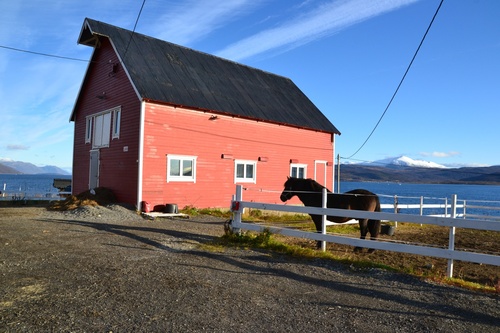 Kvaløya, "l'île aux baleines"